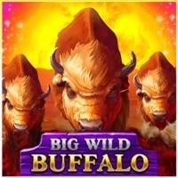 game logo by Belatra Games on northsspin.com