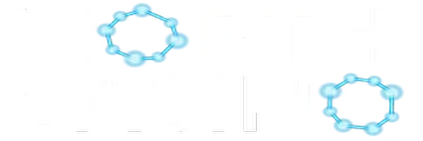 North Spin Casino logo