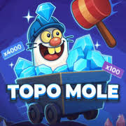 Topo Mole Game logo by InOut North Spin Casino